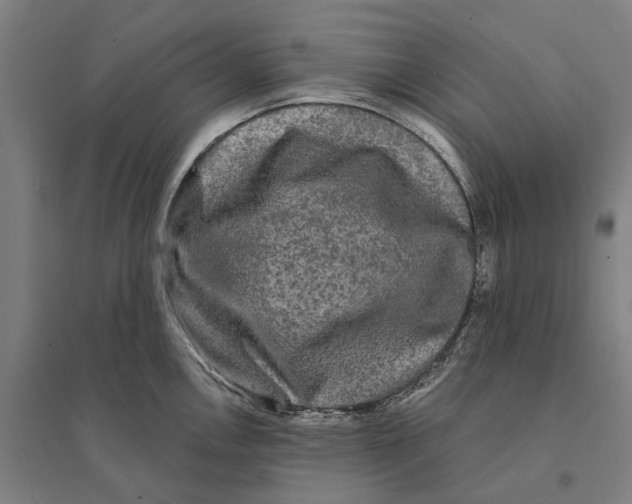 X0000095111146200712301730