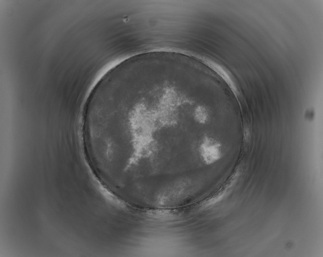 X0000095111149200712301730