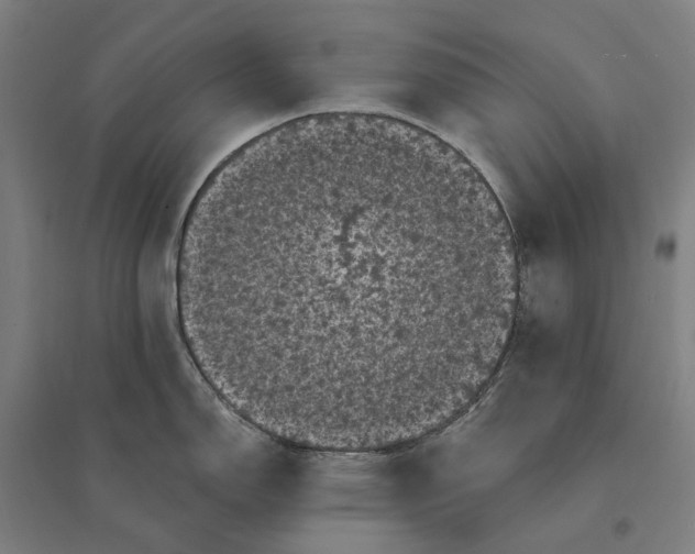 X0000095111150200712301730