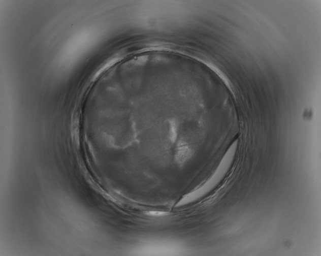 X0000095111151200712301730