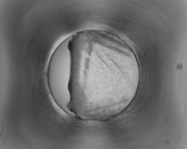 X0000095111152200712301730