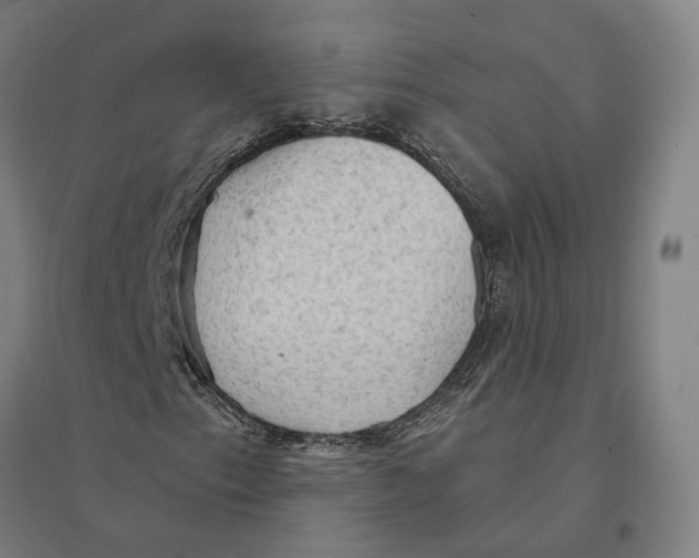 X0000095111153200712301729