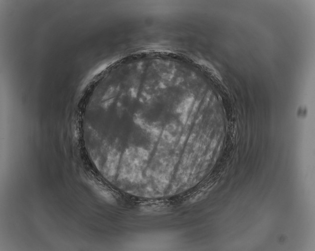 X0000095111159200712301729