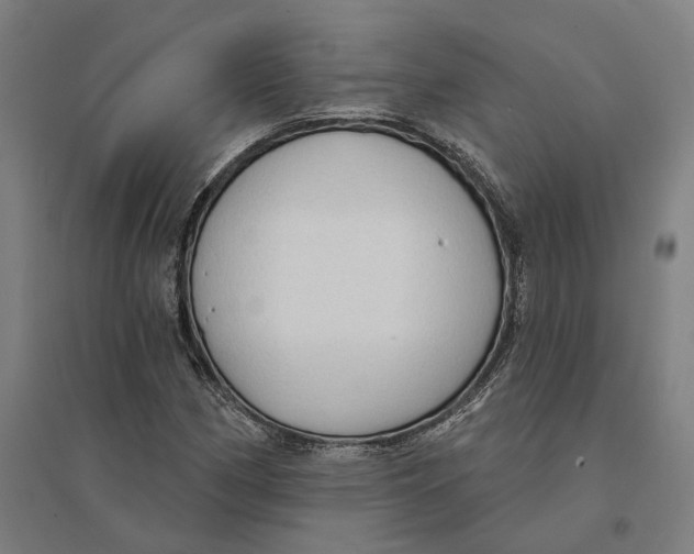 X0000095111162200712301729