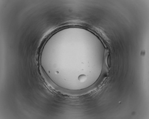 X0000095111164200712301729