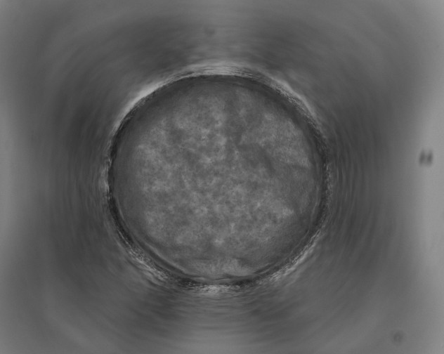 X0000095111166200712301729