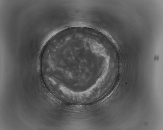 X0000095111167200712301729