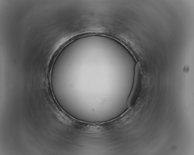 X0000095111168200712301729