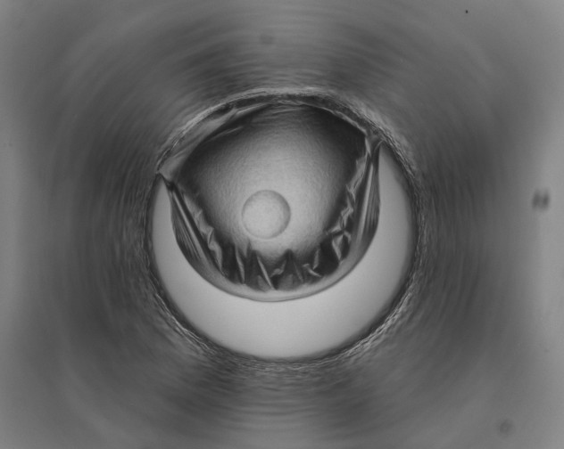 X0000095111169200712301729