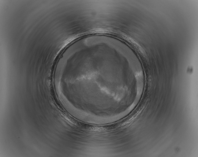 X0000095111170200712301729