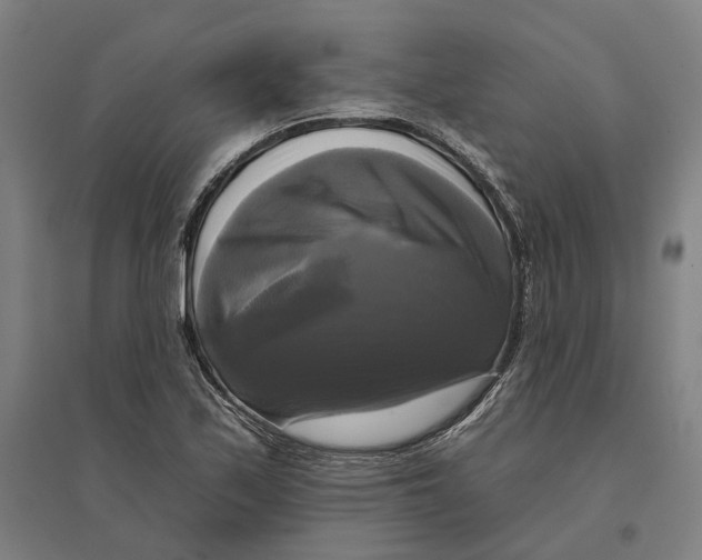 X0000095111171200712301729