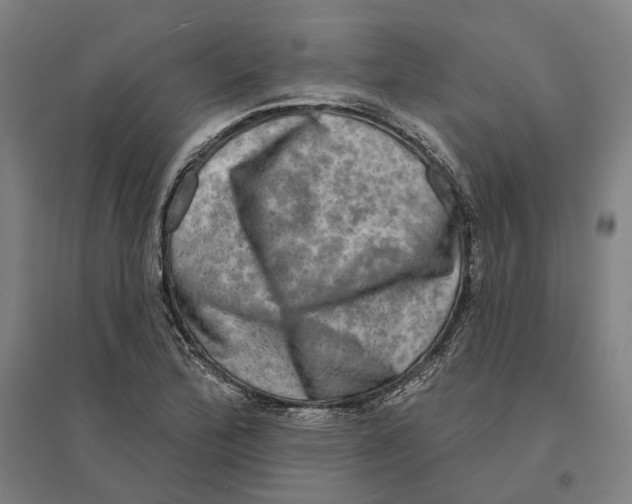 X0000095111172200712301729