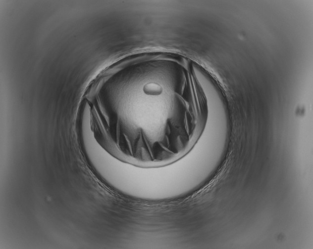 X0000095111173200712301729