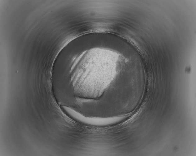 X0000095111178200712301729