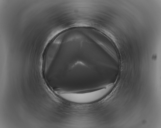 X0000095111179200712301729