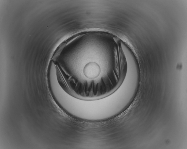 X0000095111181200712301729