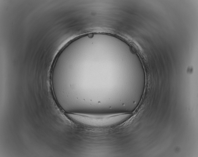 X0000095111182200712301729