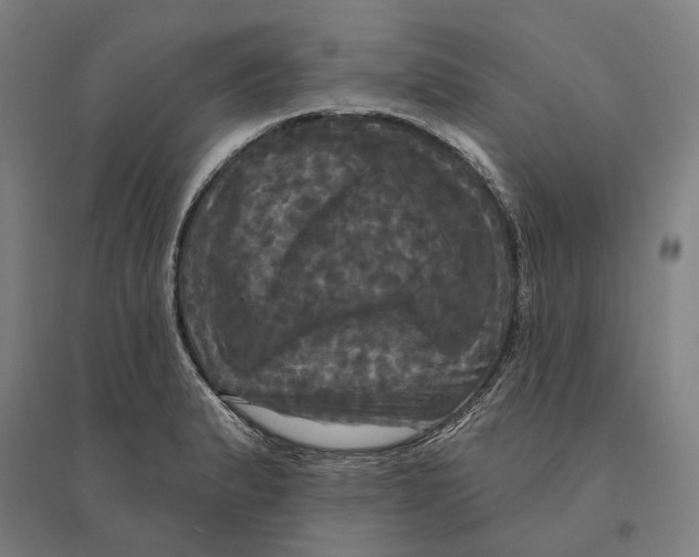 X0000095111183200712301729