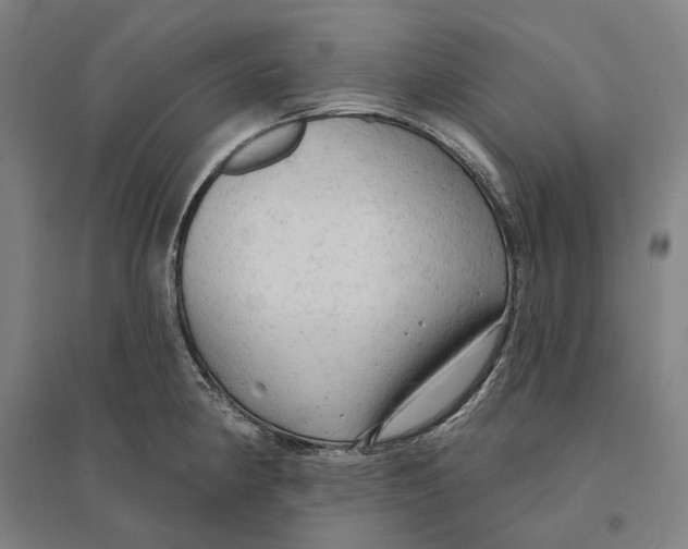 X0000095111190200712301729