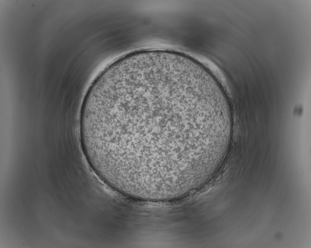 X0000095111191200712301729