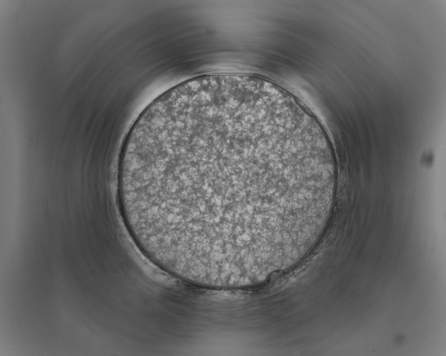 X0000095111195200712301729