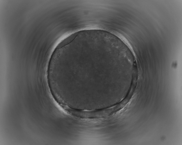 X0000095111197200712301729