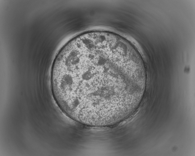 X0000095111199200712301729