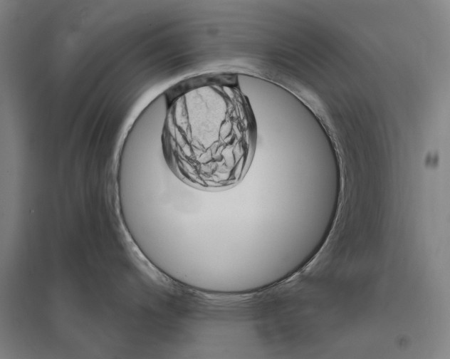 X0000095111200200712301729