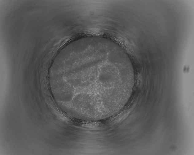 X0000095111201200712301728