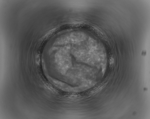 X0000095111204200712301728