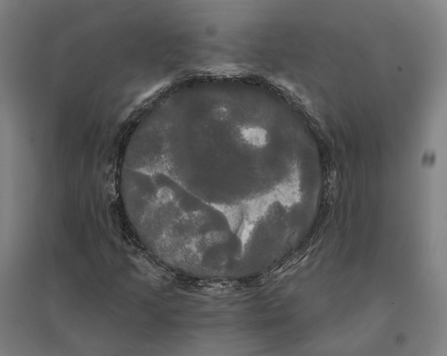 X0000095111205200712301728