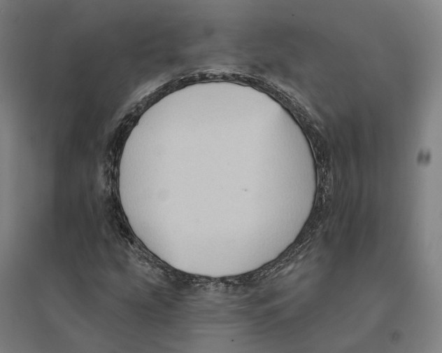 X0000095111207200712301728