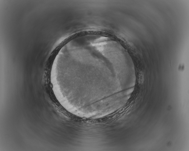 X0000095111208200712301728