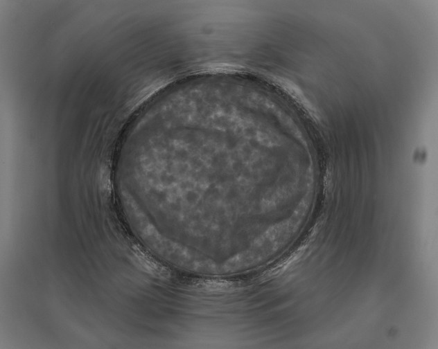 X0000095111209200712301728