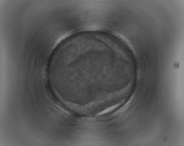 X0000095111210200712301728