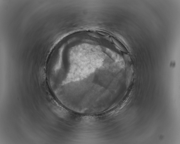 X0000095111212200712301728