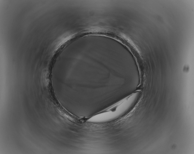 X0000095111213200712301728