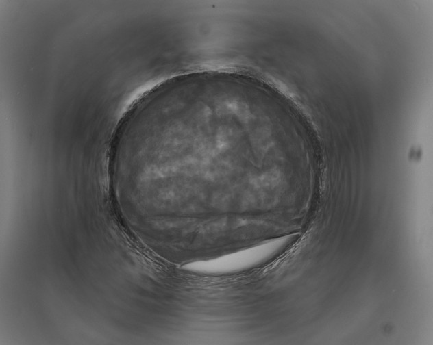 X0000095111214200712301728