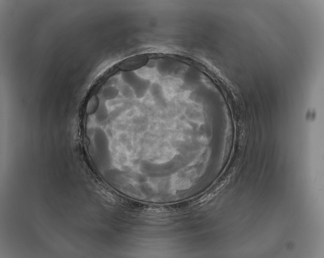 X0000095111215200712301728