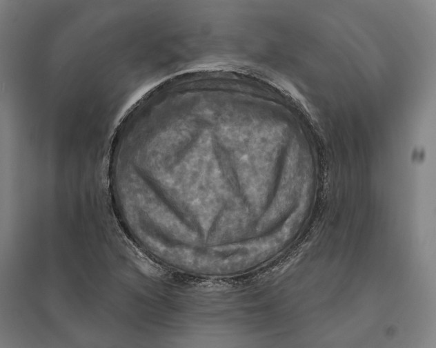 X0000095111216200712301728