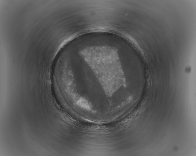 X0000095111218200712301728