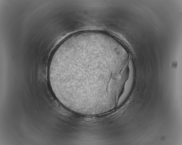 X0000095111220200712301728