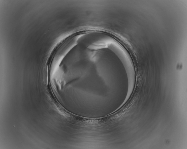 X0000095111223200712301728