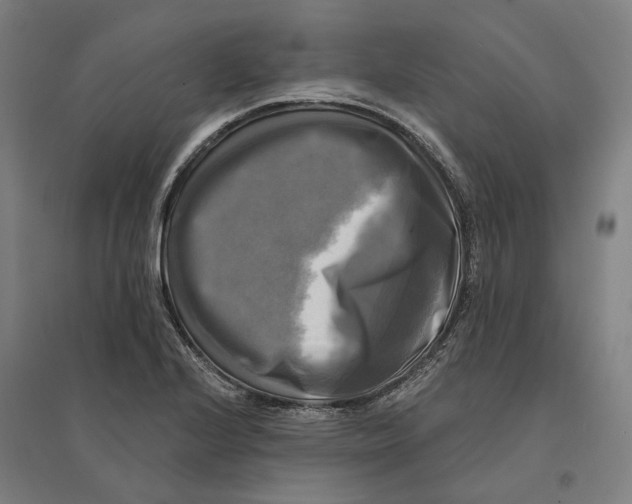 X0000095111224200712301728