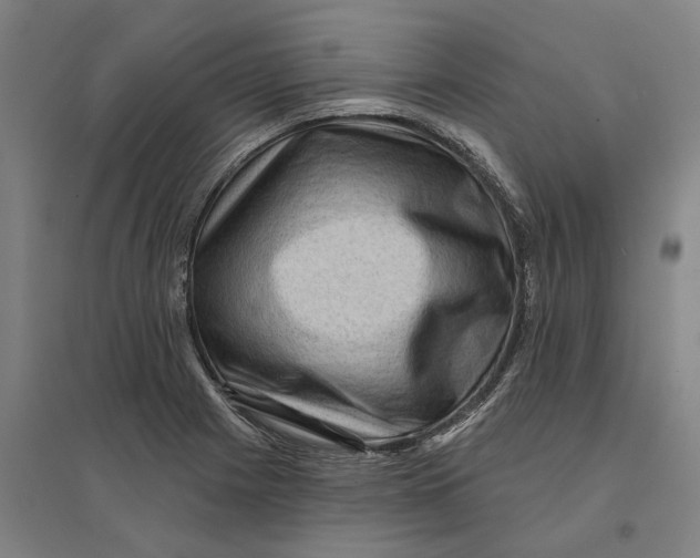 X0000095111225200712301728