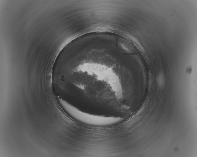 X0000095111226200712301728