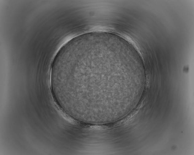 X0000095111227200712301728