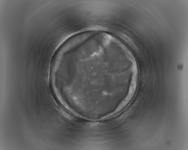 X0000095111228200712301728