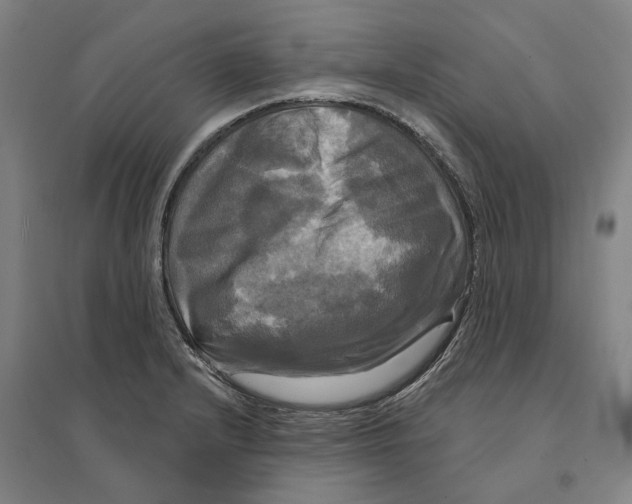 X0000095111232200712301729