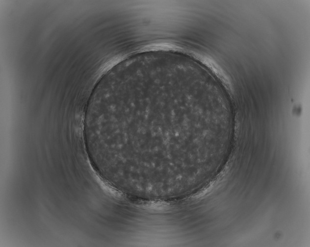 X0000095111233200712301729